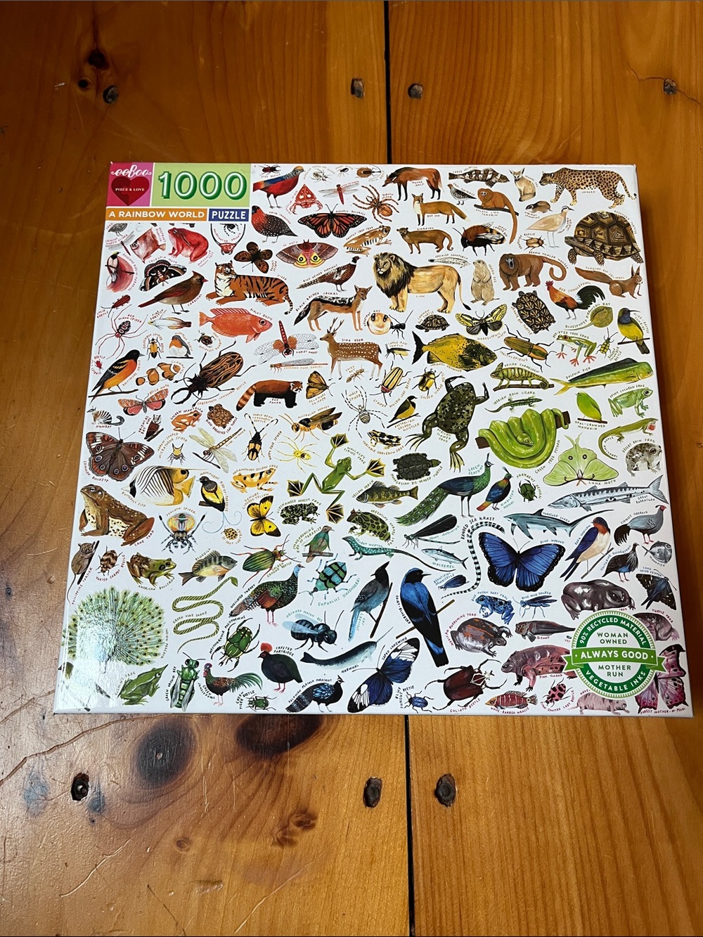 EEBOO 1000 Piece The Rainbow World Color Nature Jigsaw